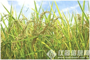 賽默飛發(fā)布同時(shí)分析大米中666種農(nóng)殘組分的GC-MS MS解決方案.jpg