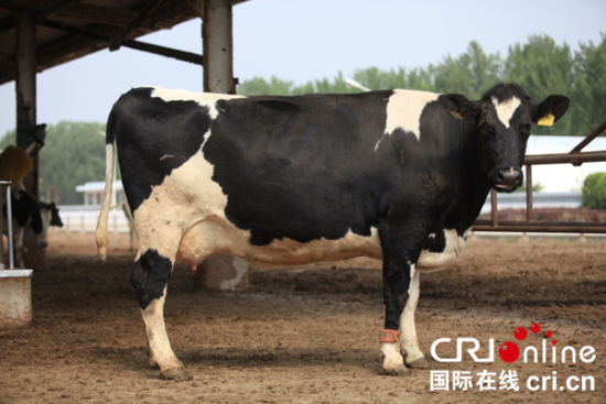 走進三元牛奶：打造全產(chǎn)業(yè)鏈監(jiān)管的放心奶