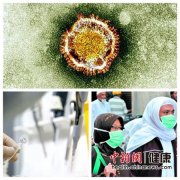 MERS進行時，冠狀病毒到底有多可怕？