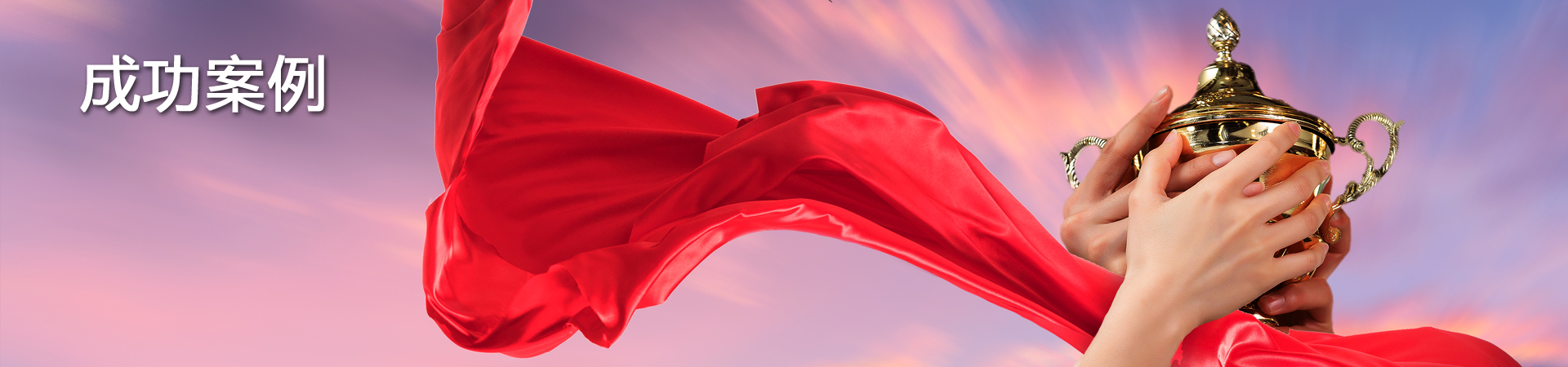 行業(yè)案例
